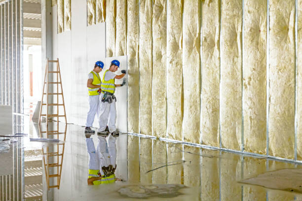 Best Residential Insulation in Holtsville, NY